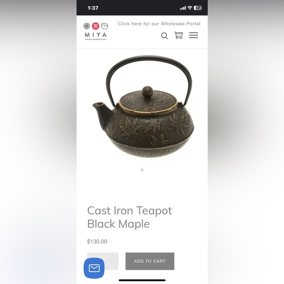 Japanese Tetsubin Cast Iron Teapot 20oz - Picture 12 of 12